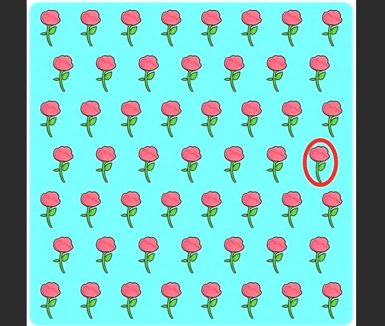test-gul-yanit.jpg